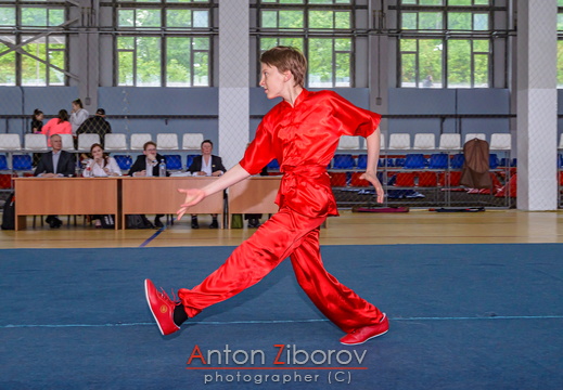 DSC 0692 (43 visits) DSC 0692