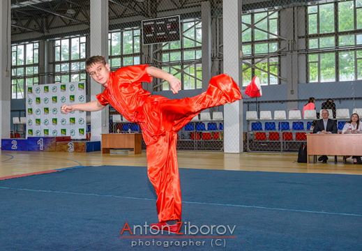 DSC 0700 (38 visits) DSC 0700