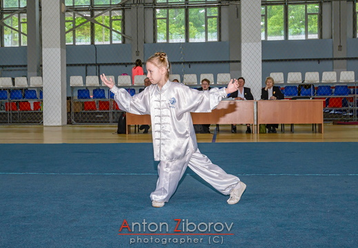 DSC 0712 (42 visits) DSC 0712