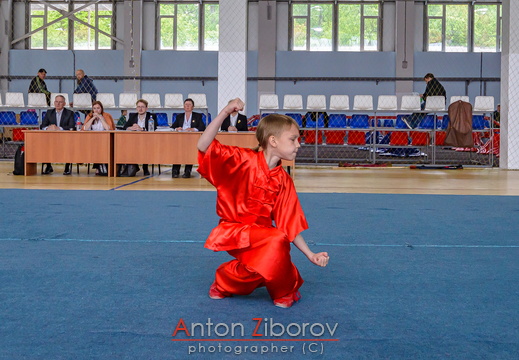 DSC 0749 (42 visits) DSC 0749