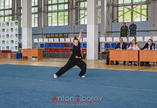 DSC 0770 (41 visits) DSC 0770