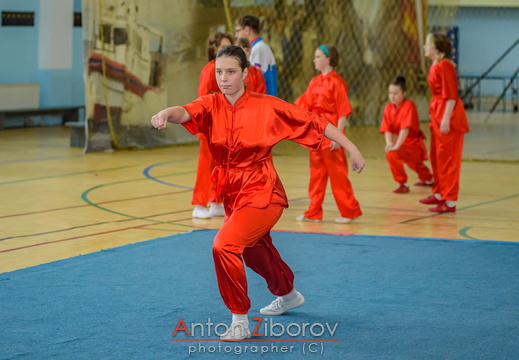 DSC 7316 (42 visits) DSC 7316