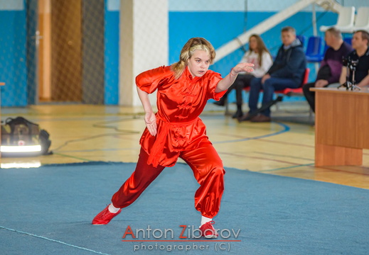 DSC 7344 (42 visits) DSC 7344