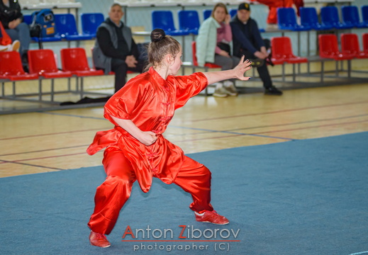 DSC 7349 (40 visits) DSC 7349