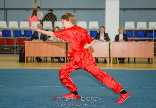 DSC 7359 (38 visits) DSC 7359
