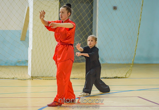 DSC 7410 (42 visits) DSC 7410