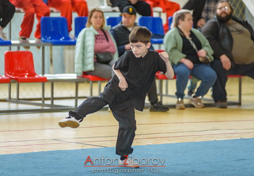 DSC 7431 (41 visits) DSC 7431