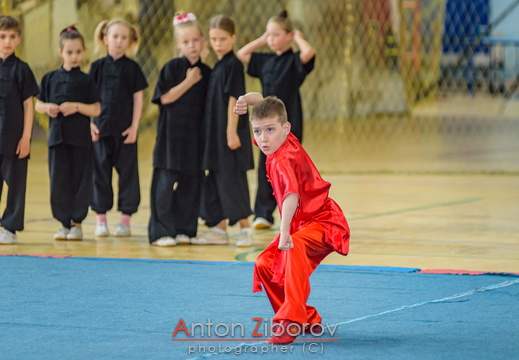 DSC 7499 (42 visits) DSC 7499