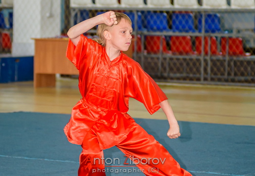 DSC 7509 (35 visits) DSC 7509