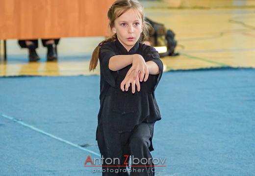 DSC 7551 (43 visits) DSC 7551