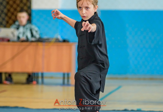 DSC 7566 (45 visits) DSC 7566