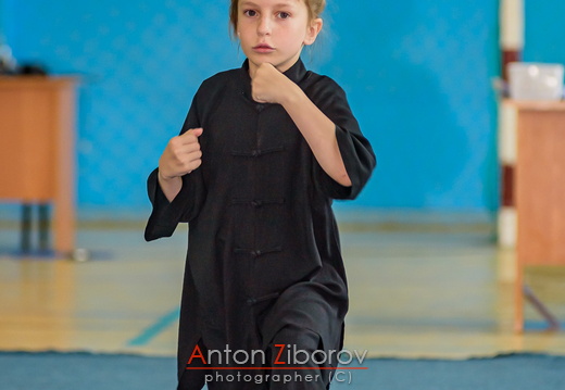 DSC 7575 (45 visits) DSC 7575