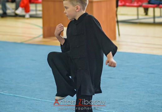 DSC 7615 (39 visits) DSC 7615