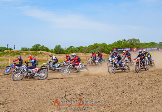 DSC 8942 (13 visits) DSC 8942