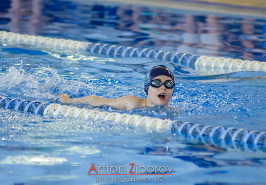 DSC 8352 (57 visits) DSC 8352