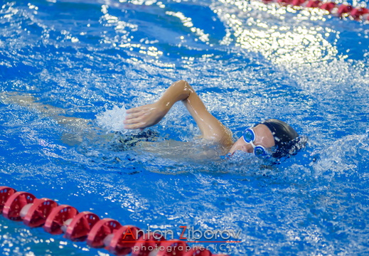 DSC 8514 (48 visits) DSC 8514
