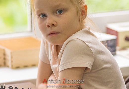 DSC 3087 (70 visits) DSC 3087