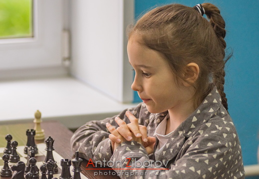 DSC 3095 (73 visits) DSC 3095