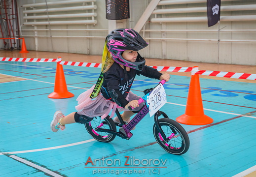 DSC 8652 (18 visits) DSC 8652