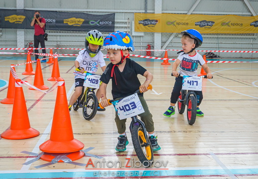 DSC 8694 (20 visits) DSC 8694