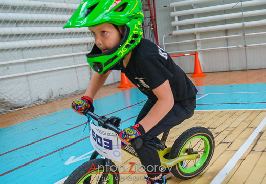 DSC 8731 (15 visits) DSC 8731