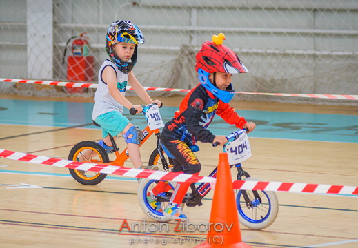 DSC 8894 (20 visits) DSC 8894