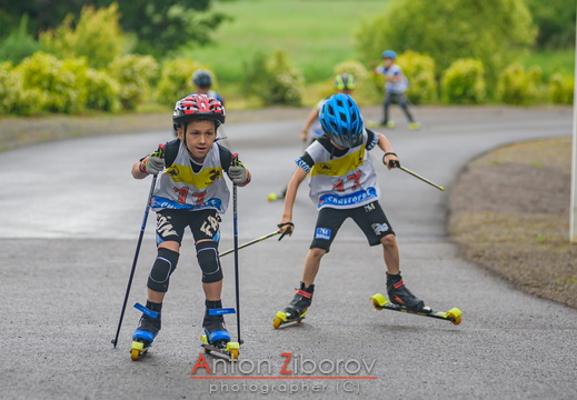 DSC 3756 (14 visits) DSC 3756