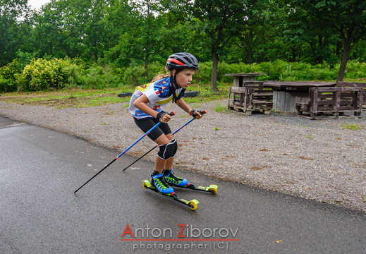 DSC 4483 (11 visits) DSC 4483