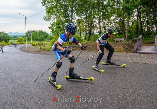 DSC 4526 (14 visits) DSC 4526