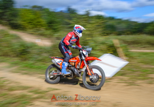 DSC 8950 (43 visits) DSC 8950