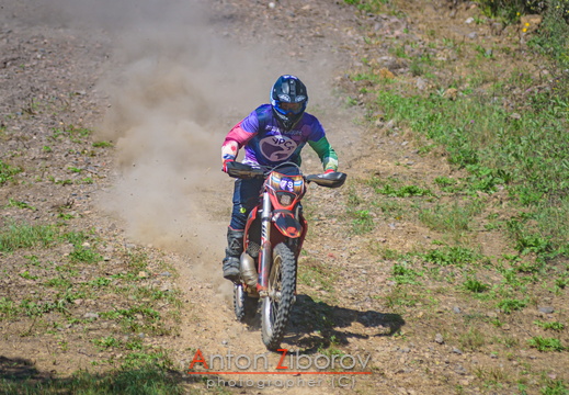 DSC 9445 (43 visits) DSC 9445