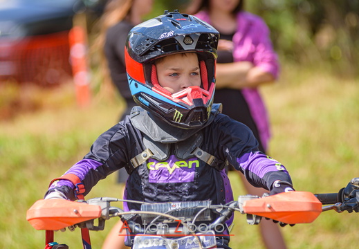 DSC 9627 (35 visits) DSC 9627