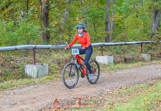 DSC 2352 (42 visits) DSC 2352