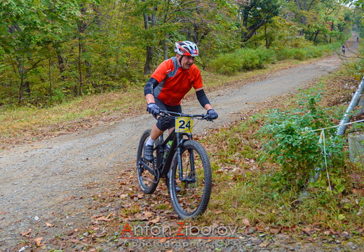 DSC 2387 (16 visits) DSC 2387