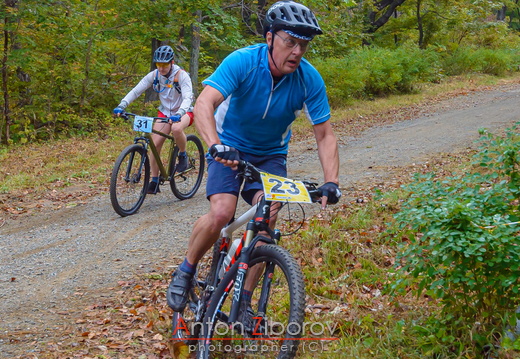 DSC 2395 (26 visits) DSC 2395