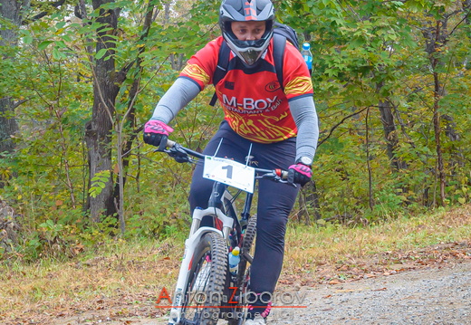 DSC 2431 (16 visits) DSC 2431