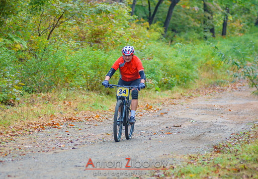DSC 3071 (16 visits) DSC 3071