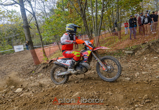 DSC 3366 (11 visits) DSC 3366
