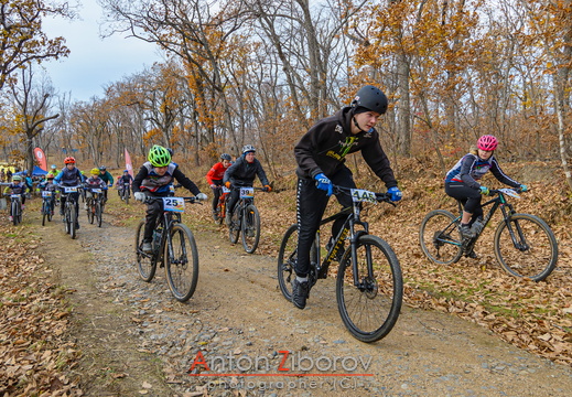 DSC 6990 (21 visits) DSC 6990