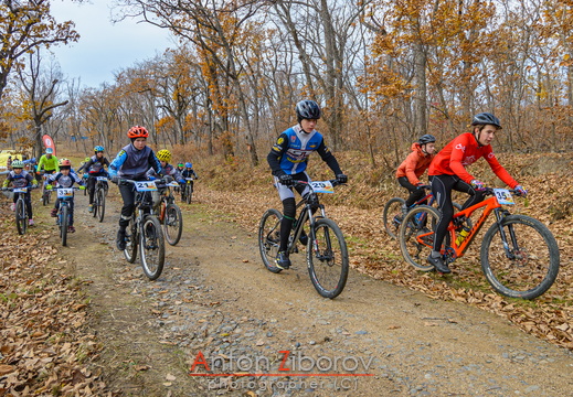 DSC 6993 (20 visits) DSC 6993