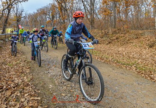 DSC 6995 (24 visits) DSC 6995