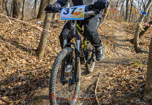 DSC 7104 (18 visits) DSC 7104