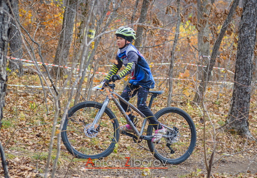 DSC 8535 (20 visits) DSC 8535