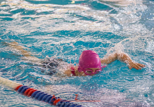 DSC 9109 (16 visits) DSC 9109