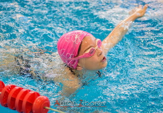 DSC 9179 (13 visits) DSC 9179