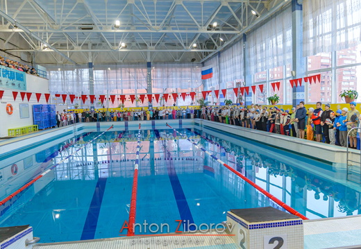 DSC 0558 (7 visits) DSC 0558
