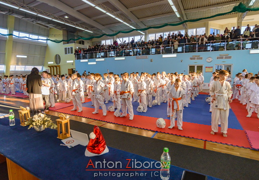 DSC 1713 (14 visits) DSC 1713