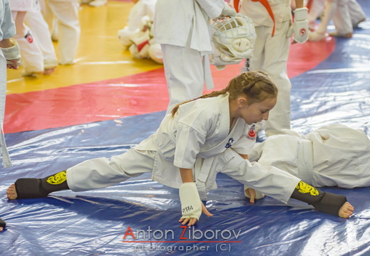 DSC 4886 (6 visits) DSC 4886