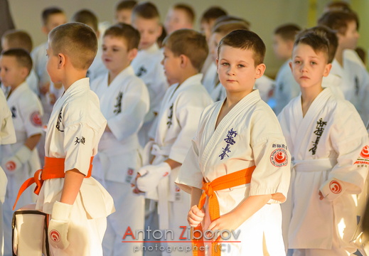 DSC 4892 (8 visits) DSC 4892