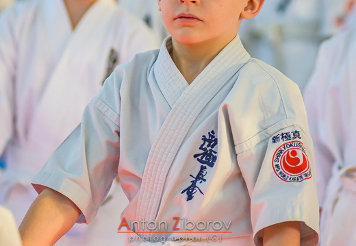 DSC 4893 (8 visits) DSC 4893